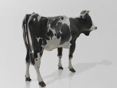 White Black Cow 3D Printable Model STL OBJ 3D print model