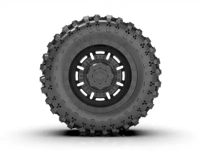 Black Rhino Abrams Wheel  and MICKEY THOMPSON BAJA PRO TIRE 3D print model