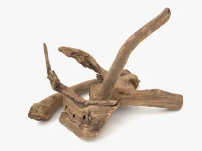 Old Wood Roots Low-poly 3D model