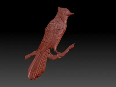 Woodpecker Bird 3D print model