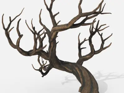 Aquarium Snag V31 3D model