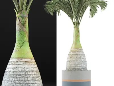 Plants Collection 131 Big Palm 3D model