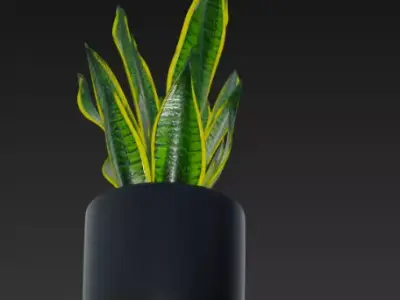 Realistic 3D Pot Plant 3D model