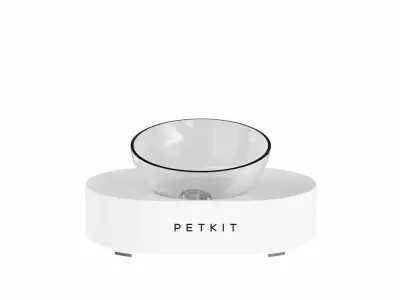 Pet food bowl Low-poly 3D model