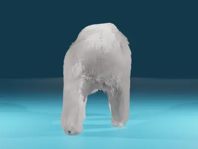 Polar Bear 3D model
