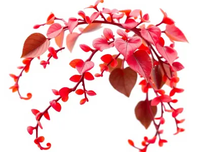 Vibrant Red Vine Model Pack for Diverse Environments Low-poly 3D model