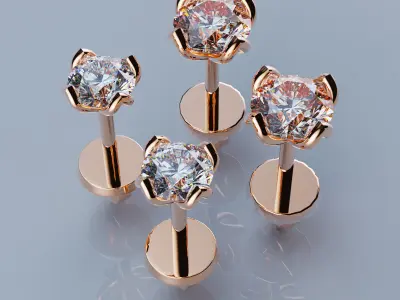 Earring Carnations 3D print model