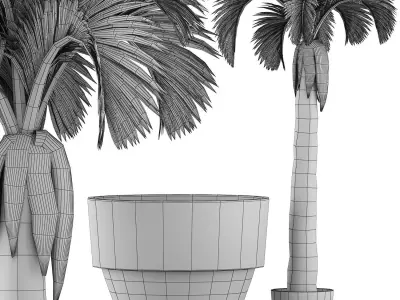 Plants Collection 133 Big Palm 3D model