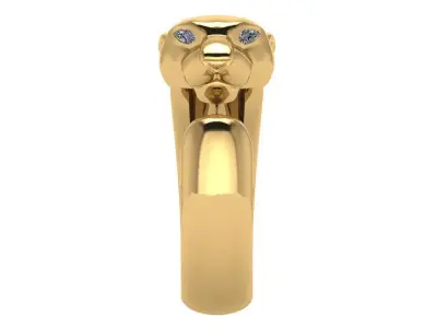 Phanter Ring 3D print model