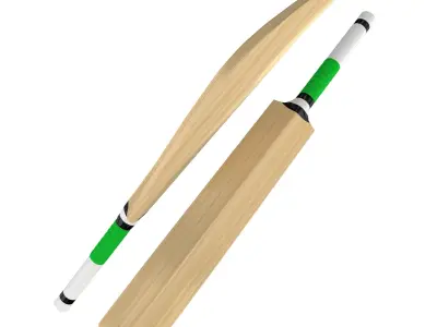 Cricket Bat 3D model