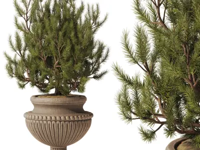 Decorative Pine In Classic Vase 3D model