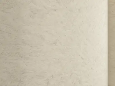 Decorative plaster 22 Texture