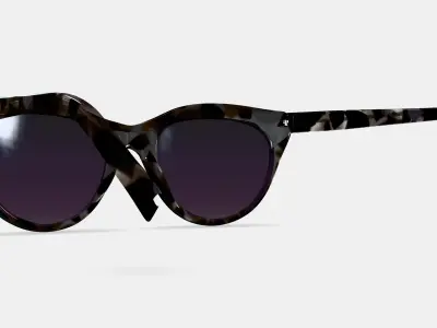 Leta Sunglasses in Black Currant Tortoise 3D model