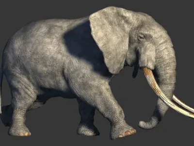 animated elephant 3D model
