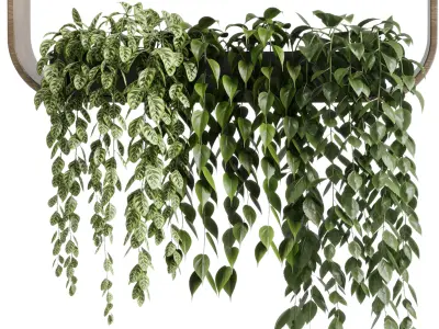 wall plant  set Indoor plant 603 plants on shelf in handmade 3D model