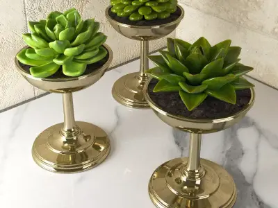 Succulents three gold planters with on marble countertop 3D model