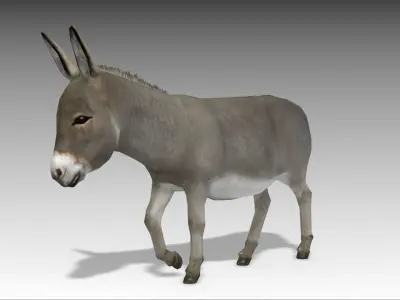 Donkey Low-poly 3D model
