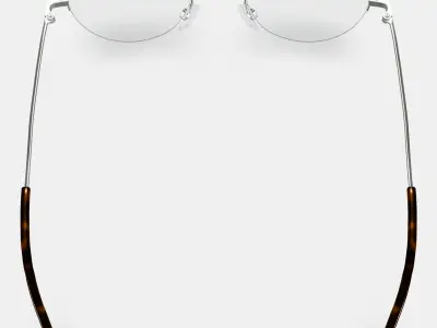 Canning Eyeglasses in Polished Silver 3D model