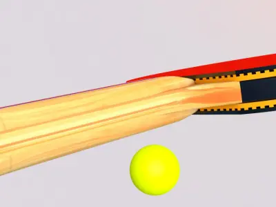 Table Tennis Paddles 3D model