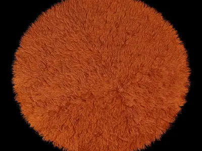 Round carpet 3D model