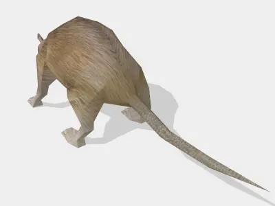 rat animal Low-poly 3D model