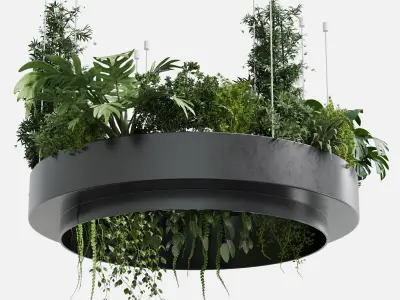 hanging plants collection Indoor plant 241 metal dirt vase  3D model