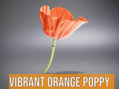 Vibrant Orange Poppy model pack Low-poly 3D model
