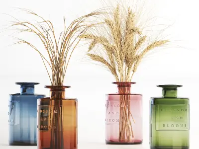 Blossom and Blooms Apothecary Jar with dried flower 3D model