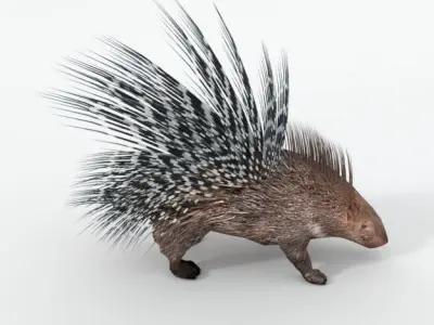 Porcupine chair Low-poly 3D model