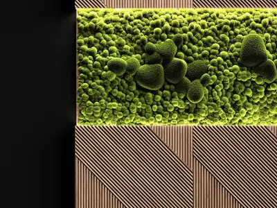 Wooden panels and stabilized moss 3D model