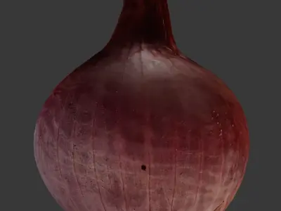  Red Onion 3D Scan Low-poly 3D model
