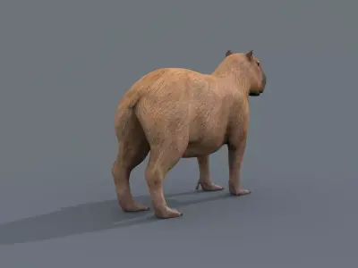 Capybara Capivara - 8k - 3d animated 3D model