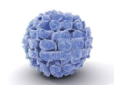 Hydrangea Blossom model pack Low-poly 3D model