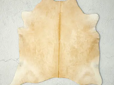 Rugs 5 zebra cowhide rug 3D model