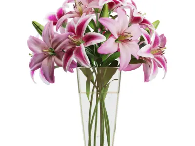 Flower Set 12 - Pink Lilies Bouquet 3D model