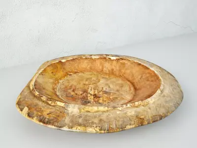 Baga Old Wood Bowl 3D model