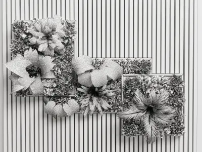 plants set partition in wooden frame Vertical graden 3D model