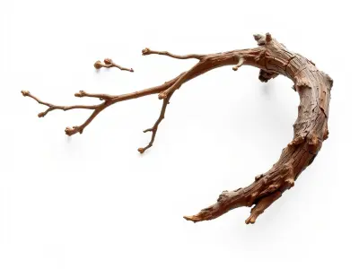 Realistic Tree Branch Model Pack for Environment Design Low-poly 3D model