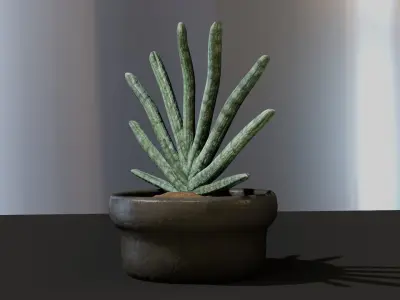 Indoor pot plant 3D model