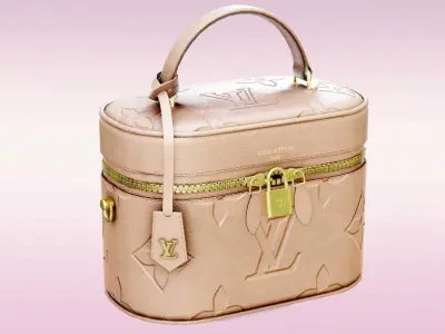 Woman Handbag Louis Vuitton Low-poly 3D model