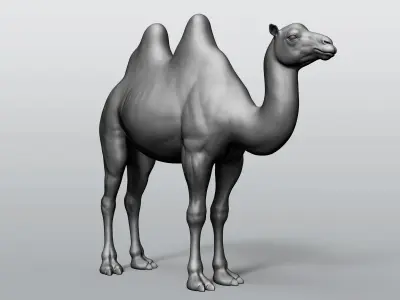 Domestic animal collection 5 animals 3D model