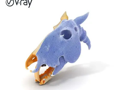 Realistic Animal Skull Model Pack Low-poly 3D model