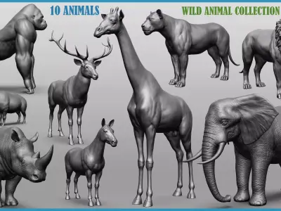 Wild animal collection 3D model