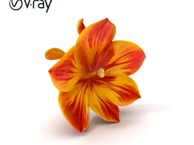 Vibrant Tropical Flower Model Pack Low-poly 3D model