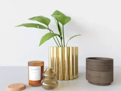 Decorationset Plant 3D model