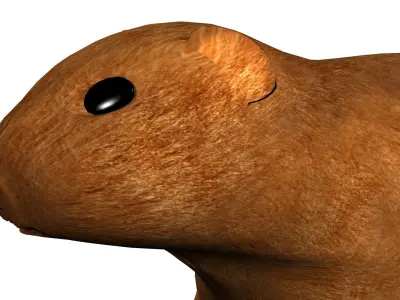 Groundhog Textured 3D model