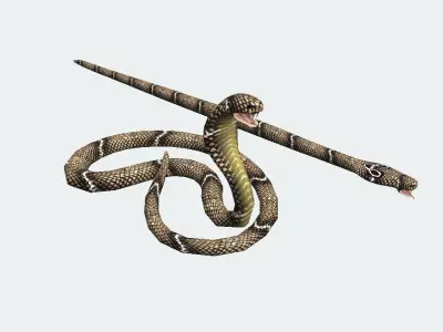 Cobra  Low-poly 3D model