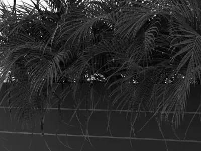 Plants collection 462 3D model