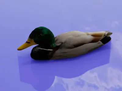 Duck 3D model Low-poly 3D model