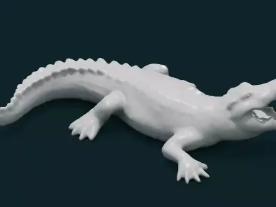 Alligator 3D model